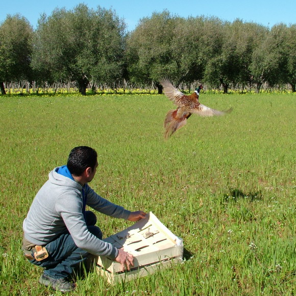 Una giornata di caccia