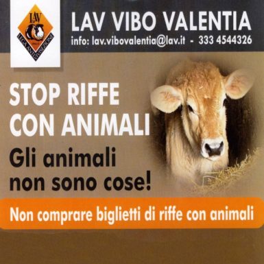 lavvitellabrattiro